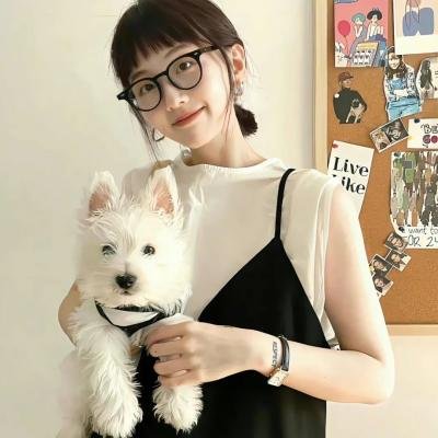 石纪元第一季